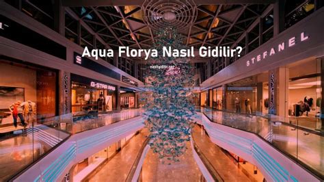 Avcılar aqua florya nasıl gidilir